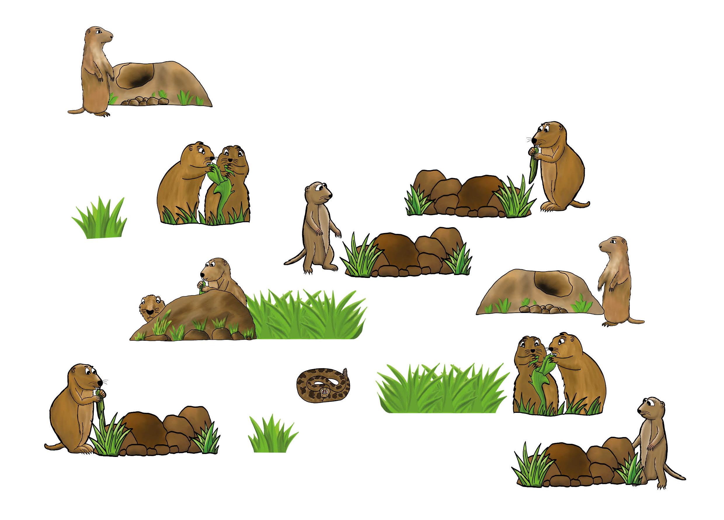 Tierisch gute Vorbilder - Visuelles Material
