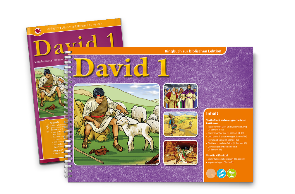 David 1 Ringbuch und Text