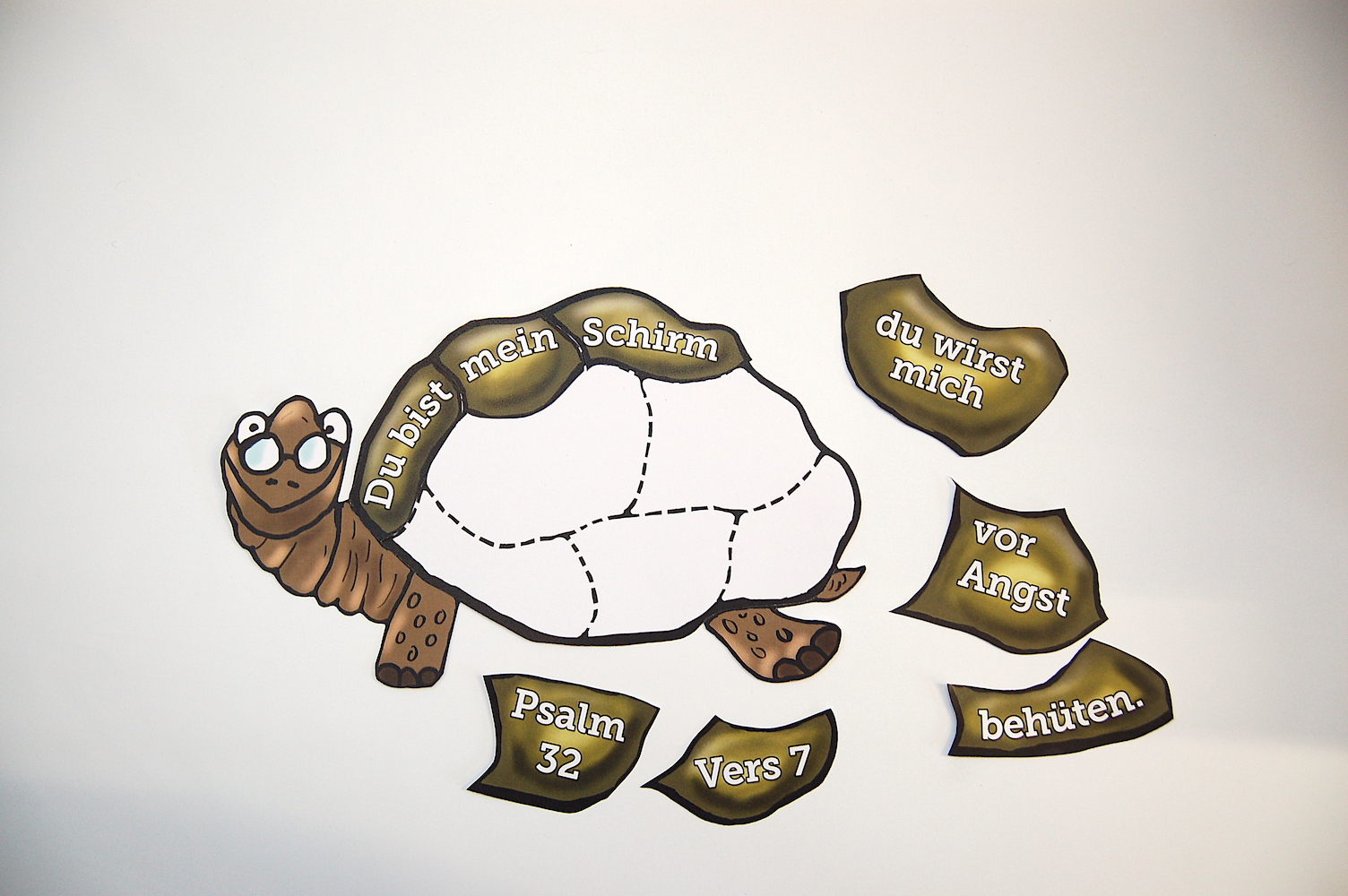 Tierisch gute Vorbilder - Visuelles Material