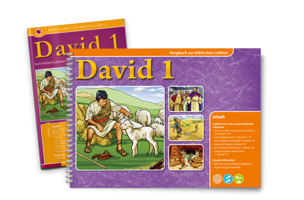 David 1 Ringbuch und Text